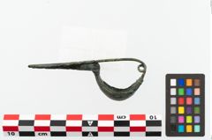 Foto von Bronzekahnfibel (NHMW-PRAE-048352)